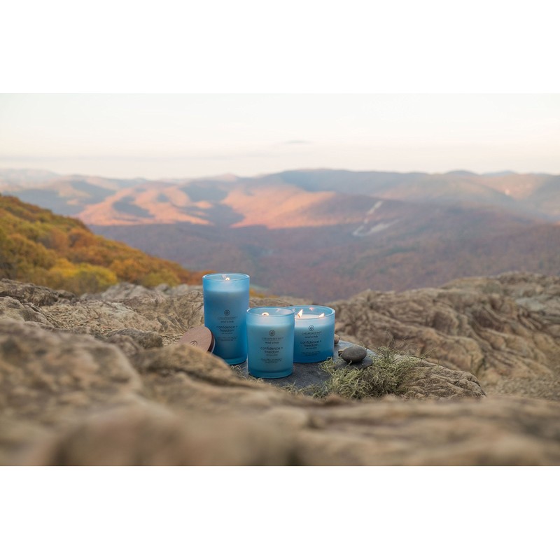 Chesapeake Bay Candle Scented Candle, Confidence + Freedom (Oak Moss