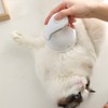Cat Massage, Electric Head Massager with USB Charging, 4 Heads,