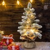 Pre-lit Snowy Mini Christmas Tree, Small Tabletop Flocked Christmas Tree