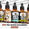 Charlie Buddy - Hеmp Oil for Dogs Cats - Hip