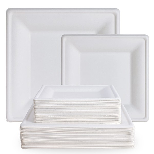 ECOLipak 120 Pack Compostable Paper Plates - 10 & 8