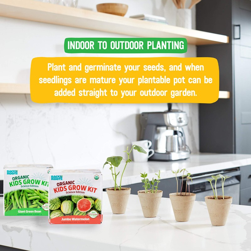 Back to the Roots Kids Science Grow Kit - 2