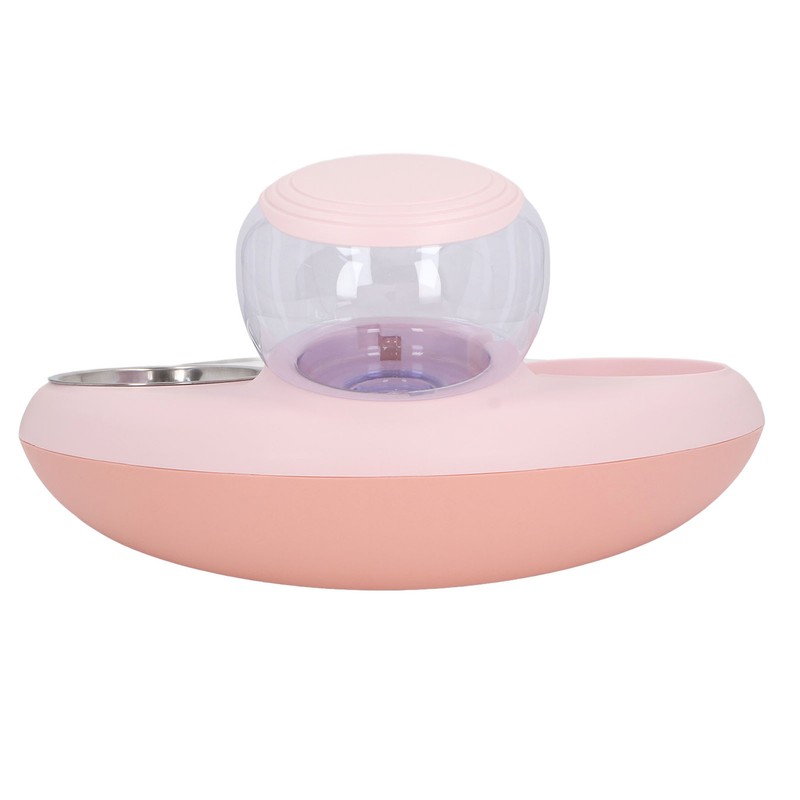Double Cat Bowls Pet Food and Water Bowl Set Tilted