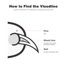 Mellbree Dog Diamond Nail Grinder for Dremel, 1/8''Nail Grinder Bits Compatible with Dremel Rotary Tool with Chuck Kit Work for Animals Nail Care