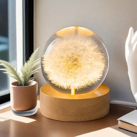 Fximey Flower Crystal Night Light Preserved Flower LED Light 2.4inch Dandelion Glass Ball Lamp with Wooden Base, Ambient Lights Decorations Gifts for Lover, Men, Women, Boys, Girls - Dandelion