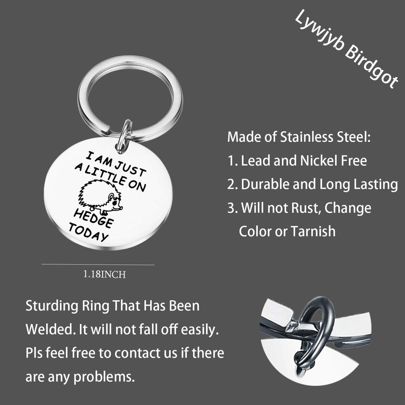 Lywjyb Birdgot Hedgehog Gift Hedgehog Lover Gift Animal Lover Gift