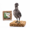 Exotic Nutrition Mealworm Pie - Healthy Natural Suet Basket Feeder