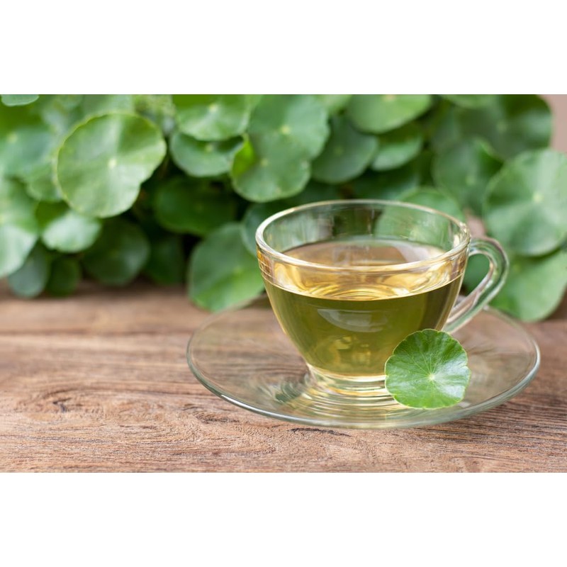 Lowhill Valley Gotu Kola Leaf - Centella asiatica Herbal Tea