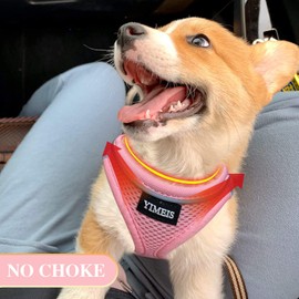 YIMEIS Dog Harness and Leash Set, No Pull Soft Mesh Pet Harness, Reflective Adjustable Puppy Vest for Small Medium Large Dogs, Cats (Pink, X-Small (Pack of 1) | YIMEIS