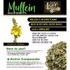 100% Pure REAL Mullein Extract Verbascum Thapsus Mullein Tincture Natural