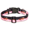 Mercano Adjustable Dog Collar - Special Design Patterns, Soft Nylon