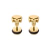 Stainless Steel Punisher Skull Stud Earrings Rock Skeleton Screw Back