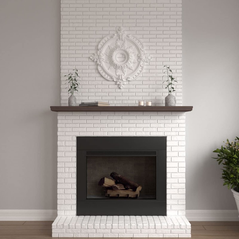 Ekena Millwork CM28BE Benson Classic Ceiling Medallion, 28 3/8"OD x