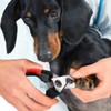 DIGIFLEX Dog Nail Trimmers - Pet Nail Clippers - Stainless