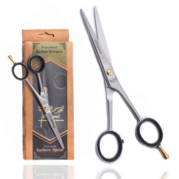 Hair Cutting Scissors Professional Hair Shears 6" - Razor Edged Durable Hair Cutting Tools - Handcrafted Barber Scissors in Japanese Stainless Steel - Scissors for Hair Cutting Men & Women