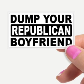 DecalBot Stickers "Dump Your Republican Boyfriend" Funny Statement Stickers Bulk Pack Pro Feminist - 50 Stickers