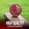 ND Sports Premium Grade Leather Cricket Ball – Ideal for