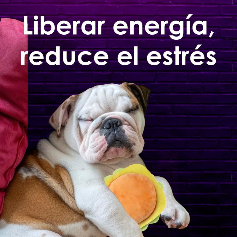Fancy Pets Juguete para Perro en Forma de Pizza con