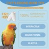 Jmxu's 3.5"-4" Cuttlebone for Birds Parakeets, Cuddle Bone with Metal