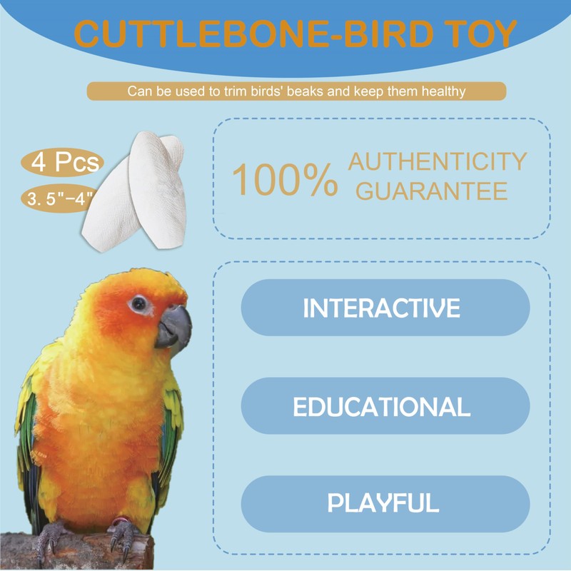 Jmxu's 3.5"-4" Cuttlebone for Birds Parakeets, Cuddle Bone with Metal