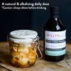 Willy's Organic ACV Apple Cider Vinegar with Mother - Probiotocs