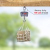 BeneLabel Wall Mount Ceiling Hooks with Safety Buckle - Plant
