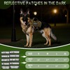 WINSEE Mesh Dog Harness with 10 Pet Patches for Large