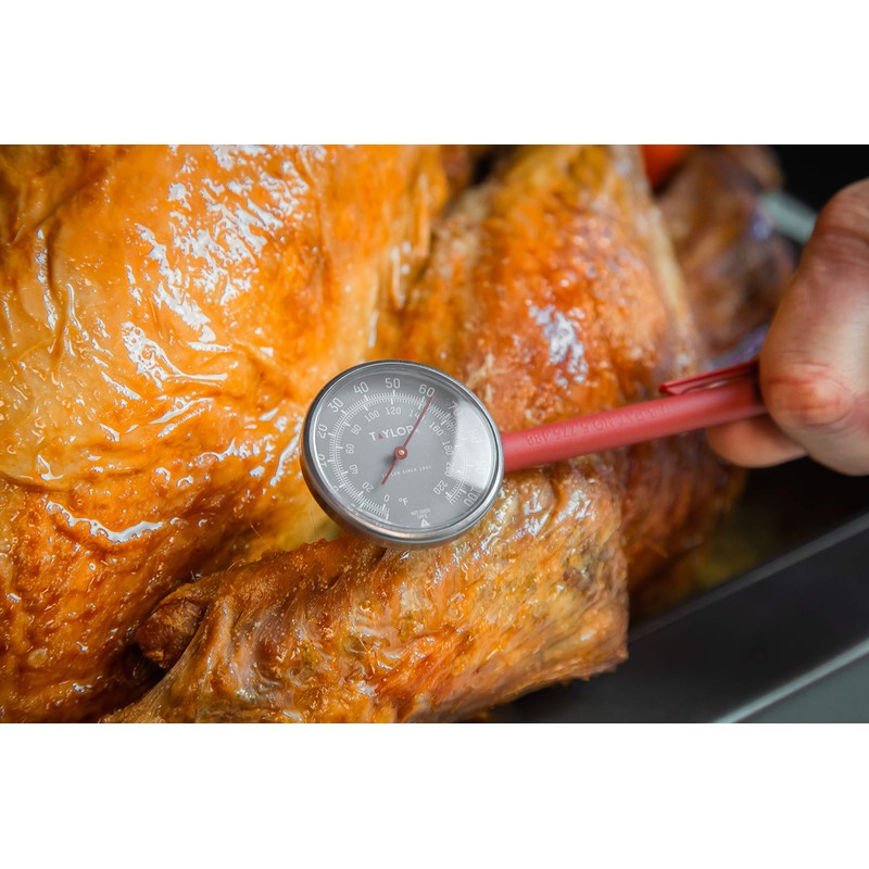 Taylor Read Meat Thermometer Probe, Food Thermometer with Fast Temperature