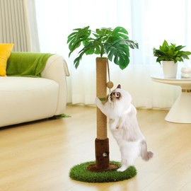 Woochpet Cat Scratching Post for Indoor Cats and Kitten - 35.43" Tall Cat Scratching Post with Sisal Rope,Palm Tree Cat Scratch Post with Hanging Ball