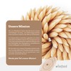 wisefood Toothpicks made of birch wood, 1000 pieces, loose, 6.5