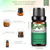 PHATOIL Essential Oil Peppermint 10ml Essential Oil Aroma Oil Present