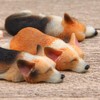 (moin moin) Dog, Dog, Fluffy, with Bed, Dog, Realistic Figure,