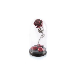 Iron Forge Eternal "Beauty and the Beast" Rose (Red/Silver)