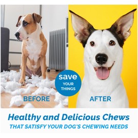 123 Treats Assorted Dog Chews for Dog - 100% Natural Lamb, Beef, Rawhide, Pork and Chicken Jerky Chews - for Dogs (1 Pound Bag)