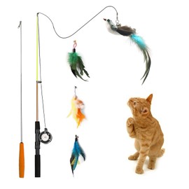 Trumoon Retractable Cat Teaser Wand Toy, Cat Toys for Indoor Outdoor Cats Interactive Fishing Rod with 4 PCS Refills Feather Toy, Interactive Bird Toys for Indoor Kittens
