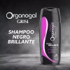Shampoo Grisi Organogal Negro Brillante 400ml