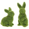 DEARMAMY 2Pcs Easter Faux Moss Bunnies: Furry Grass Flocked Rabbit