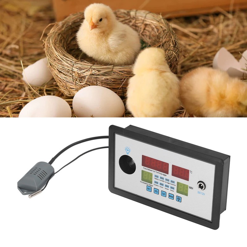 Intelligent Incubator Thermostat Automatic Egg Incubator Controller Thermostat for Eggs