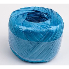 Polyester Nylon Plastic Rope Twine, Household Bundled for Packing Gardening Craft,20 MM Width and 100m Length (Blue)