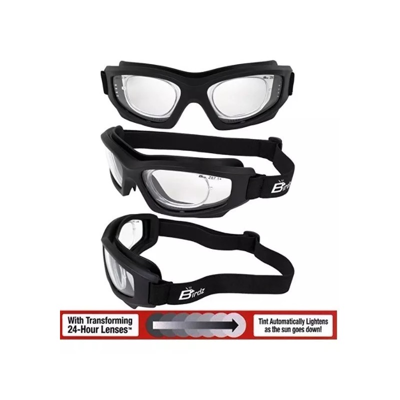 birdz Goggles Seguridad C/insertos Graduables Birdz Fotocromaticos