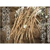 Honjien Tea Health Tea Domestic Burdock Tea Bag 0.05 oz