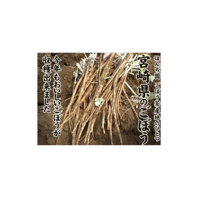 Honjien Tea Health Tea Domestic Burdock Tea Bag 0.05 oz