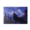 01 Chopping Board / Glass Chopping Board 20 x 28