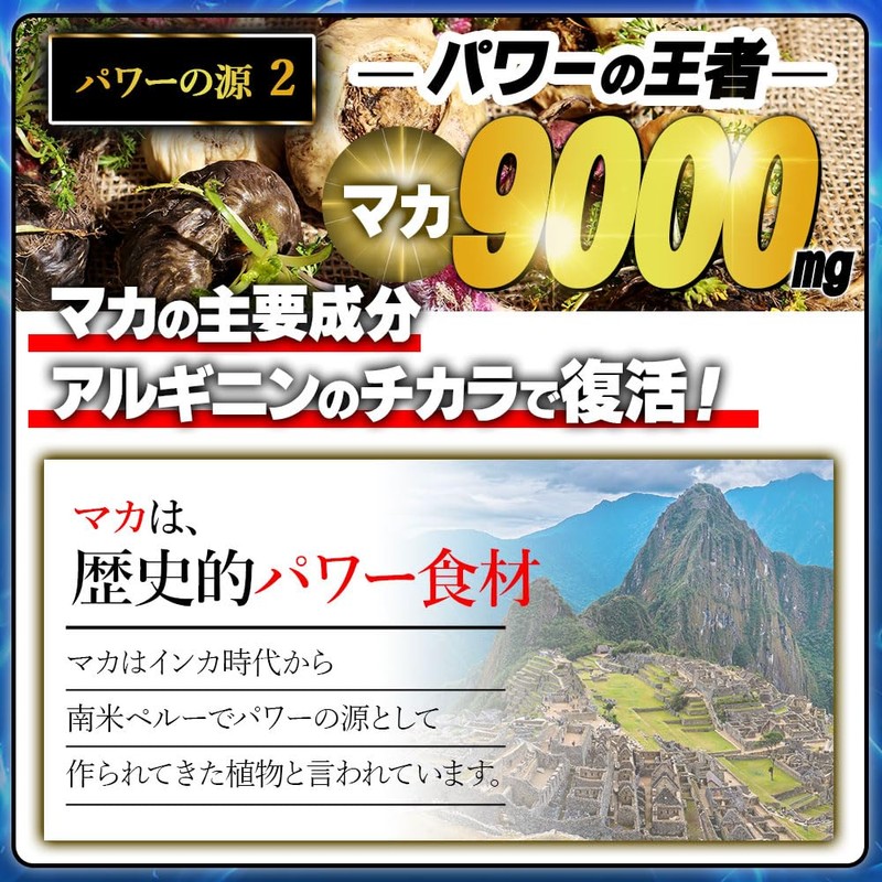 龍起丸 りゅうきがん 30包/30日分【公式】 マカ9000mg 100倍濃縮トンカットアリ カフェイン3000mg [メーカーカタログ付]