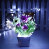 Joomer Fairy String Lights 33FT 100 LEDs Plug in Fairy