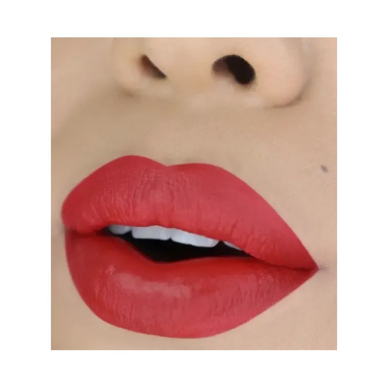 Labial Líquido Matte Moira Cosmetics Tono 26 Brick Larga Duración
