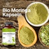 PlantDEA Organic Moringa Capsules I 3000 mg Daily Dose I