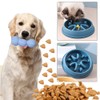Esforzarse Slow Feeder Dog Bowls, Preventing Choking Slow Eating Pet