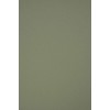Netuno 10 x Natural Cardboard Olive Green DIN A4 210