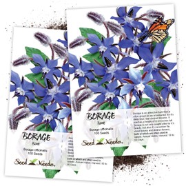Seed Needs, Blue Borage Herb Seeds for Planting (Borago officinalis) Single Package of 100 Seeds - Heirloom, Non-GMO & Untreated